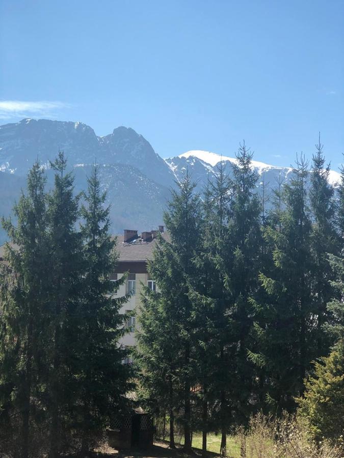 Appartamento Vektron Zakopane Esterno foto